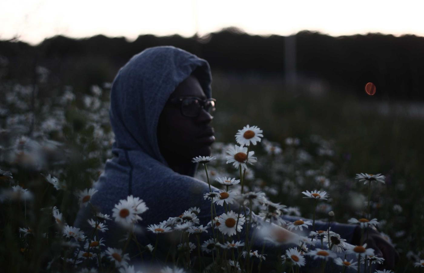 雨燕直播官网入口专题配图